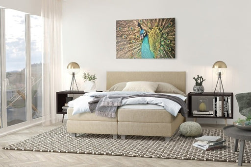 Boxspring Exclusive (Inclusief Traagschuim Topper) - BoxspringPlace. Goedkope Boxspring. Gratis bezorging. Gratis levering. Gratis verzending. Voordelige boxspring. 140x200. 160x200. 180x200. Boxspring Korting. Boxspring Sale. Boxspring uitverkoop. Boxspring Korting. Boxspring Sale. Boxspring uitverkoop. Boxspring. Boxsprings. Boxsprings. Boxspring. Goedkope boxspring. Boxspring sale. Boxsprings sale. Boxspring aanbieding. Boxspring met topper. Boxspring met topper traagschuim